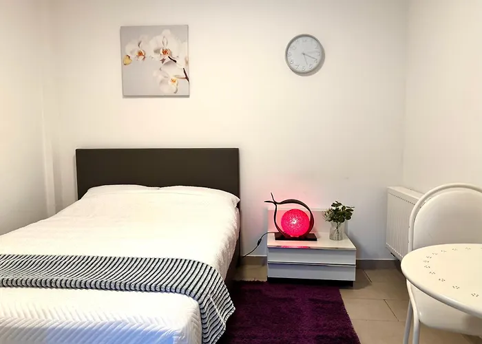 Appartement Cosy A Bruxelles Metro Vandervelde